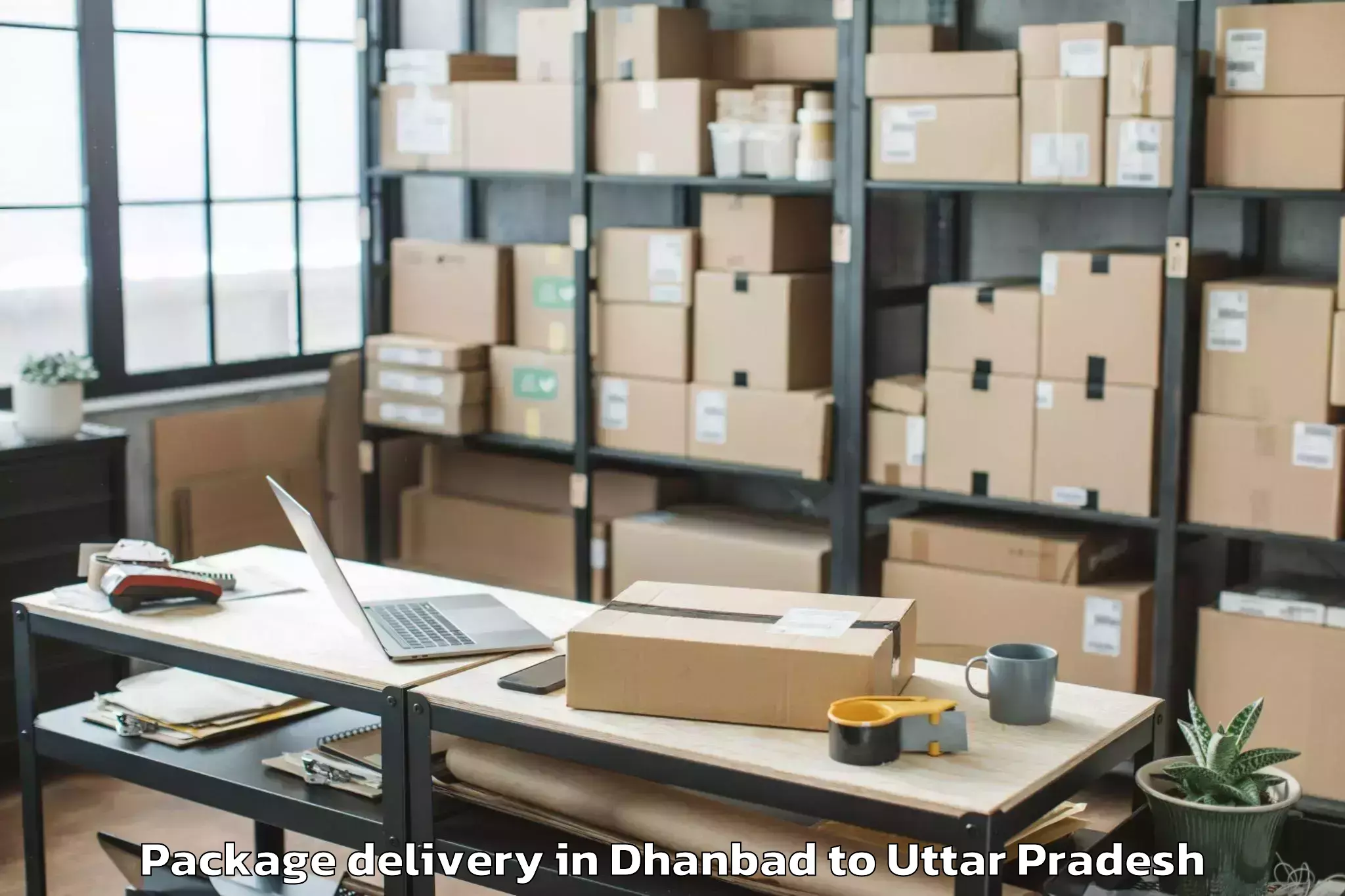 Reliable Dhanbad to Bharwari Package Delivery